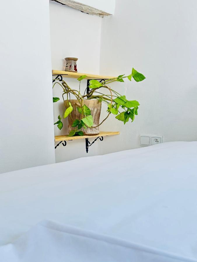 Ocean View House Apartment Essaouira Exterior foto